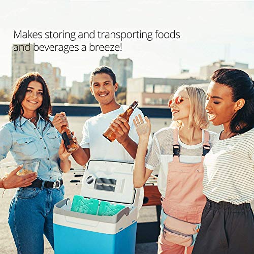 Large Ice Packs For Coolers and Ice Chest by Portion/Perfect 20