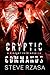 Cryptic Commands: A Vincent Chen Novella by Steve Rzasa