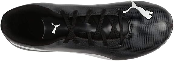 puma black iron gate