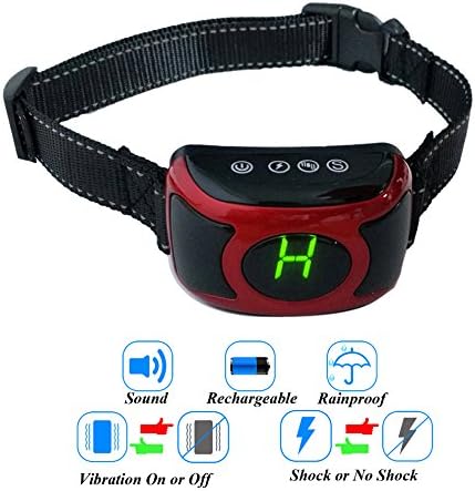 shock collar for sale near me