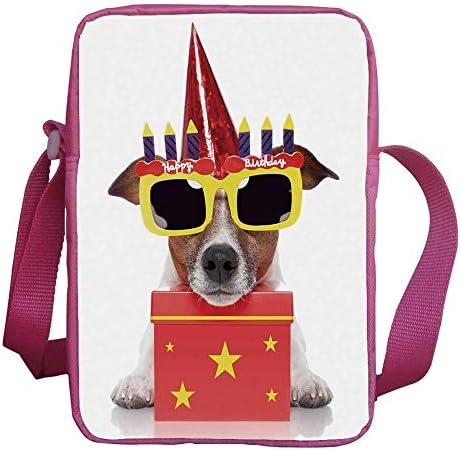 Amazon Com Birthday Decorations For Kids Stylish Kids Crossbody