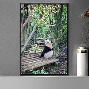 signwin Framed Canvas Wall Art Panda Animals Bear...