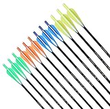 REEGOX 20 inch Crossbow Bolts Bio with 4-Inch