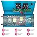 1000W Car Power Inverter DC 12V to AC 110V Converter with 2 Cigarette Lighter Sockets and Digital Display 2 AC Outlets and 4 USB Charging Ports fo
