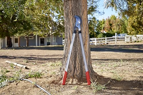 Corona Tools Super-Duty Bypass Lopper – 32-Inch Heavy-Duty Branch Cutter for Tree photo 6