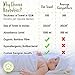 KeaBabies Hooded Baby Towel for Newborn - Viscose Derived from Bamboo Large Baby Bath Towels with Hood for Boys, Girls, Toddler, Extra Absorbent & Soft Newborn Bath Essentials (Bear)