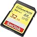 SanDisk Extreme Plus SDHC UHS-I/U3 32GB Memory Card Up to 90MB/s Read (SDSDXSF-032G-GNCIN)