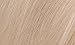Naturtint 10A Light Ash Blonde Permanent Hair Color (Pack of 6), Ammonia Free, Vegan, Cruelty Free, up to 100% Gray Coverage, Long Lasting Results (Packaging may vary)