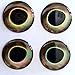 RAH 3-D Hard Epoxy Eyes (60 Pack) Fly Tying Lures Crafts Available in 4 Colors & 7 Sizes (Earth, 3 mm)