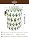 HUNRUNG Laundry Hamper,Large Canvas Fabric Lightweight Storage Basket Toy Organizer Dirty Clothes Collapsible Waterproof for College Dorms, Children Bedroom,Bathroom (Green Cactus)