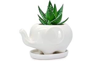 GeLive White Elephant Succulent Planter Ceramic Plant Pot Window Box with Saucer Animal Indoor Tabletop Decor Fun Gift 5 Inch (Mom Elephant)