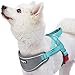 Blueberry Pet 8 Colors Soft & Comfy 3M Reflective Strips Padded Dog Harness Vest, Chest Girth 16.5