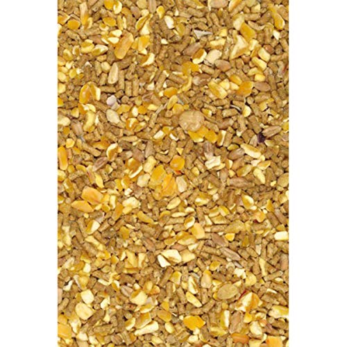 Mangime Coccodoro Ovaiole Kg 12,50 - [1MACOC - Foto 6