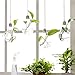 Mkono 3 Pack Hanging Terrarium Flower Plant Glass Vase Light Bulb Shape Home Weeding Decor
