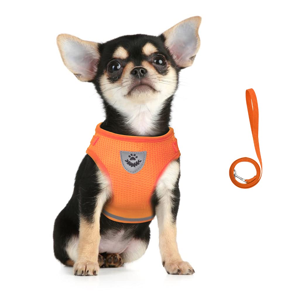 FEimaX Dog Harness and Leash Set, No Pull Reflective Adjustable Pet Vest Harness for Puppy Kitten, Breathable Soft Mesh Fabric, Escape Proof Cat Jacket for Outdoor Walking, Training