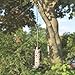 Hanging Chain, 35 Inch, Black, For Bird Feeders, Planters, Fixtures, Lanterns, Suet Baskets, Wind Chimes and More! Outdoor / Indoor Use…
