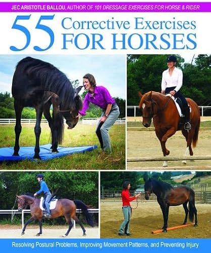 Download 55 Corrective Exercises for Horses: Resolving Postural Problems, Improving Movement Patterns, and Preventing Injury PDF