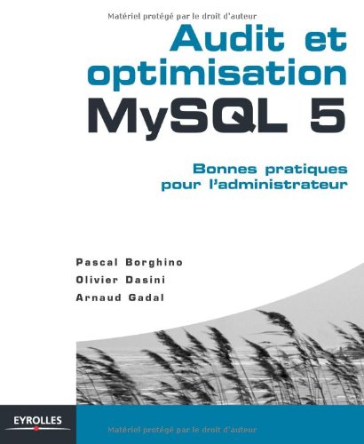 Download Audit et optimisation MySQL 5 (French Edition)