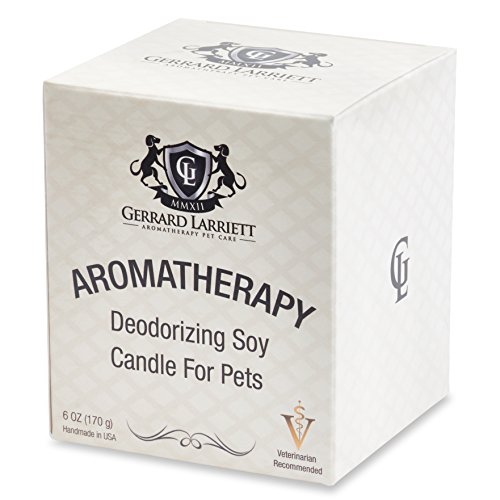 Wildwoods (Cedarwood & Vanilla) Aromatherapy Deodorizing Soy Candle For Pets, Candles Scented, Pet Odor Eliminator & Animal Lover Gift - 6 OZ (170 g)