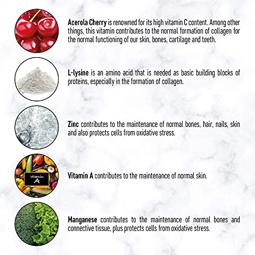 Vegan Collagen Capsules for Skin, Hair, Nails, Joints & Bones with Biotin, Lysine, Bamboo Silica, Zinc, Vitamin C, E & A. 2 Months Supply. Plant Based Collagen Booster for Vegans and Vegetarians