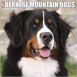 air canada pet in cabin