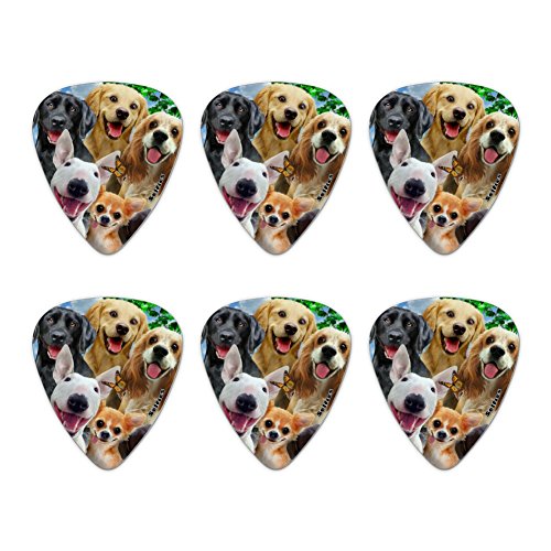 Dogs Selfie Lab Golden Retriever Dachshund Westie Pug Terrier Novelty Guitar Picks Medium Gauge - Set of 6