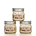 Hosley Set of 3 Lemon Bar Scented Mason Jar Candles 4 Ounce Each. Ideal Gift for Party Favor Weddings Spa Reiki Meditation Bathroom Settings. O9