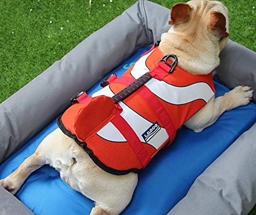 Hifrenchies Dog Life Jacket Clown Fish Vest Dog Safety Swimsuit Floatation Life Vest for French Bulldog/Pug(M,Clown fish) - Image 3