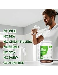 Dr. Forest Proteína en polvo orgánica de plantas veganas prensadas en frío – Añadir a tus batidos o...