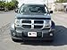 WESTIN Wade 72-97146 Smoke Tint Platinum Bug Shield