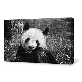 Canvas Wall Art for Living Room,Bedroom Home Artwork Paintings Cute Panda Ready to Hang - 12x18 inches