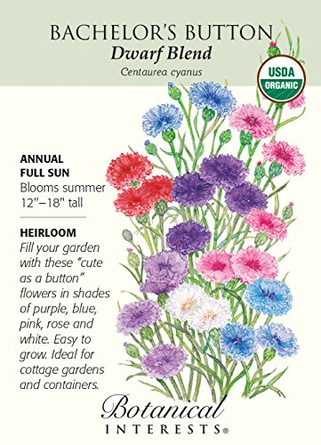 Dwarf Blend Bachelor's Button Seeds - 2 grams - Organic Dwarf Blend Bachelor's Button Seeds - 2 grams - Organic