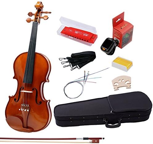 IMusic 4/4 Full Size Handcrafted Violin Starters Outfit for Beginners Kids, Gloss Brown