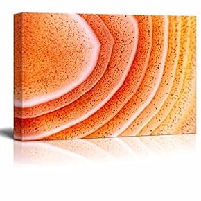 Canvas Wall Art - Abstract Agate Slice Pattern - Giclee Print Gallery Wrap Modern Home Art Ready to Hang - 12" x 18"