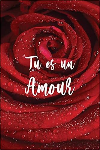 Tu Es Un Amour Carnet De Notes Cadeau Pour La Journee Du Saint Valentin 1 Pages Avec Papier Ligne Petit Format 15 24 X 22 86 Cm Editions Cadeaux D Amour Amazon Fr Livres