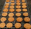 2 Packs Light Weight Metal Oven Cooling Baking Rack. Size 13" X 9"