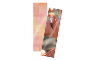 TruLam 5 Mil Bookmark Laminating Pouches 2-3/8 x 8-1/2 Inches, 200 per Box (LP05BKM)