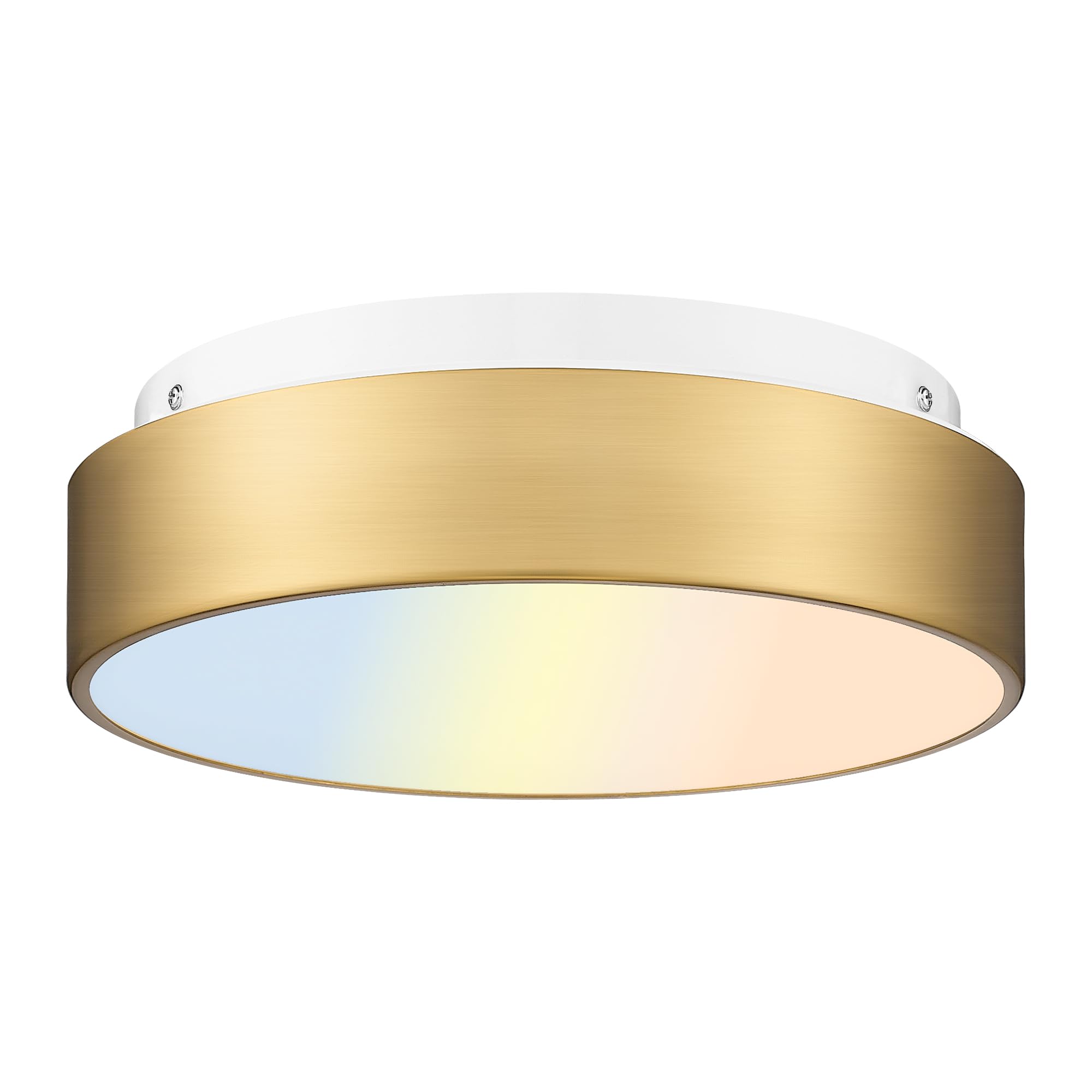 Photo 1 of AUTELO LED Close to Ceiling Light Fixture 12" LED 18W Flush Mount Ceiling Light Fixtures with Frosted Glass Shade in Brass Finish for Kitchen LivingRoom Hallway Bedroom C3312 BRZ LED