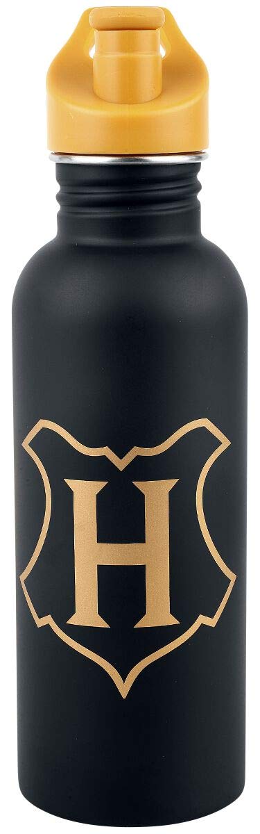 Pyramid International HARRY POTTER Metal Drinks Bottle I'd Rather Be At Hogwarts 700ml - Official Merchandise, MDB25986