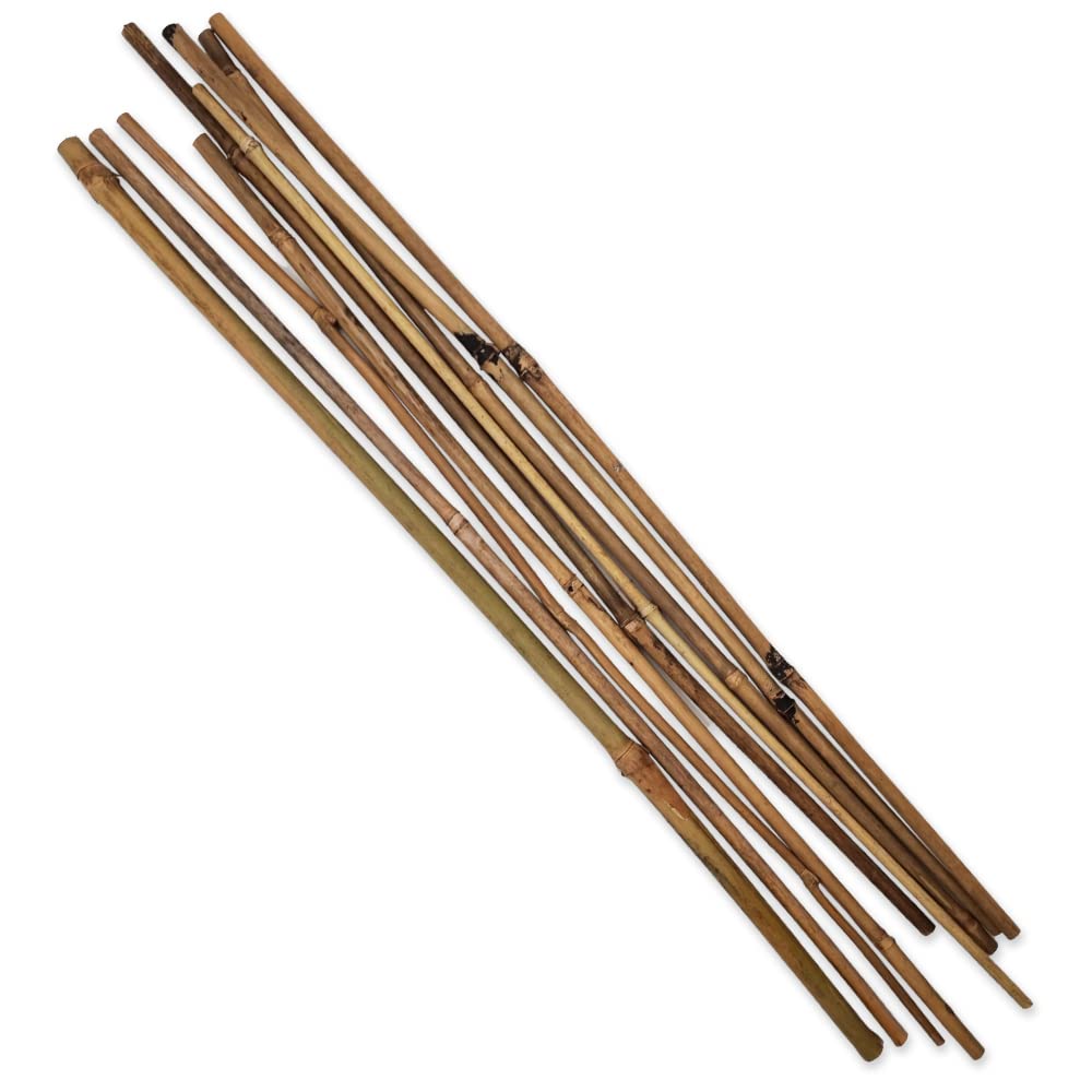 schone Bamboo Garden Sticks Set of 10 – Durable, Eco-Friendly and Lightweight