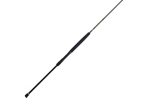 Penn Squadron III Surf Spinning Fishing Rod