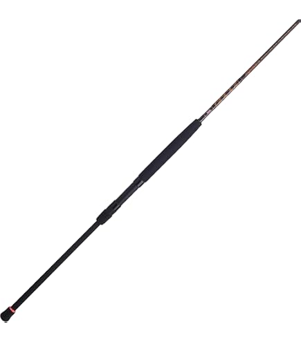 best trout spinning rod combos Spinning Fishing Best Fishing Rod Combo 2020 Trout Fishing Best Spinning Rod  And Reel Combo For