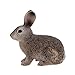 Schleich Wild Rabbit Toy Figure