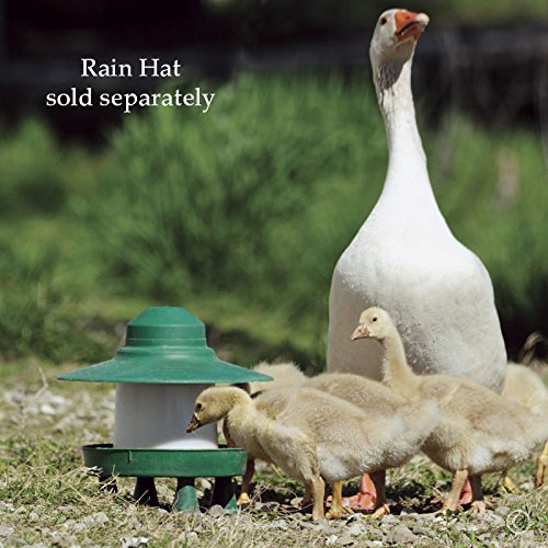 Premier Ascot Poultry Feeder w/Grill - 6 lb.