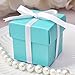 Mini Square 2x2x2 Wedding Bridal Shower Favor Box with Lid (10 Count)- Robin Egg Blue