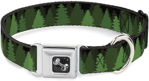 best food for chihuahua with sensitive stomach