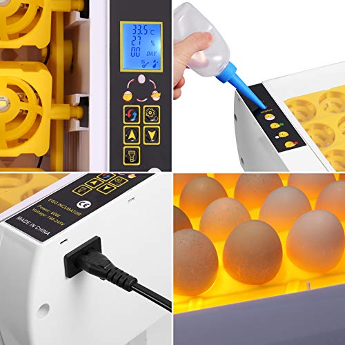 Egg Incubator for Hatching Chicks, 24 Eggs Automatic Egg Incubator