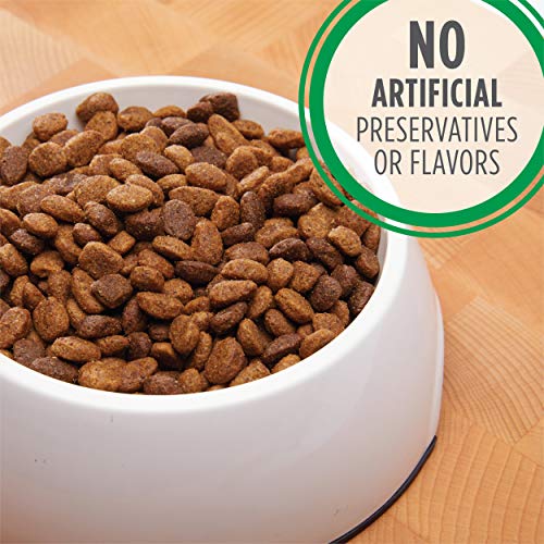 Is Chicken Protein Bad For Dogs at Turner blog