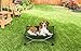 Carlson Pet Products Elevated Dog Bed, Indoor or Outdoor Dog Bed for Small Dogs, Green (8040)