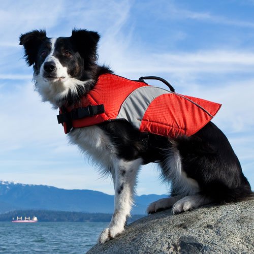 canine friendly life jacket